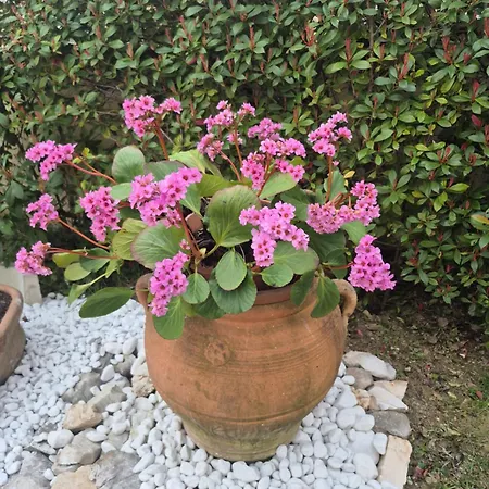 Apartamento House Barbanera Spello