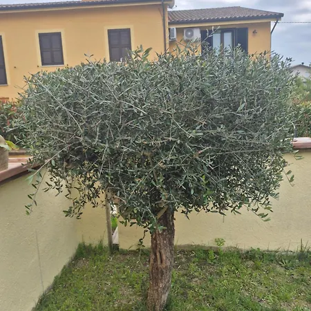 House Barbanera Apartment *