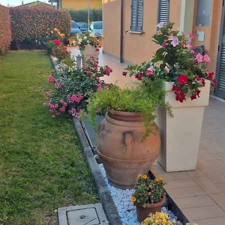 House Barbanera Spello