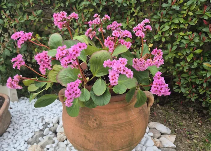 Apartamento House Barbanera Spello